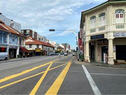 Geylang Conservation Area (D14), Shop House #452339811